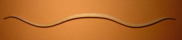 Copyright by Wulf Hein - www.archaeo-technik.de